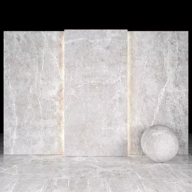 Elegant Spider Gray Marble Slabs 3D model image 1 