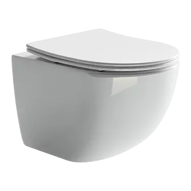 Modern Hanging Toilet - Ceramica Nova Forma CN3009 3D model image 1 