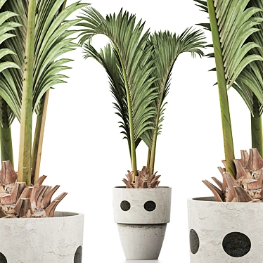 Exotic Palm Pool Plants Collection 3D model image 1 