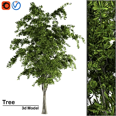 High-Quality 3D Tree Model 3D model image 1 