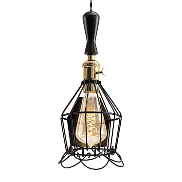 Rustic Wire Cage Pendant Light 3D model image 1 