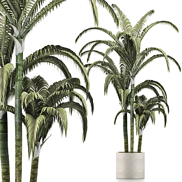 Tropical Trio: Beach and Concrete Pot Palms 3D model image 1 