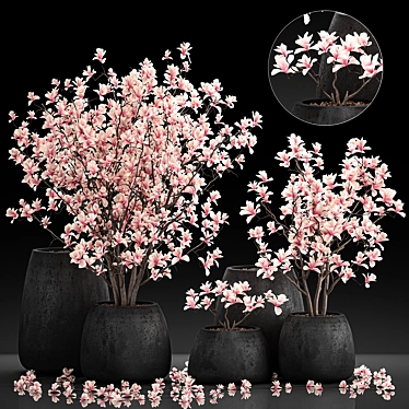 Exotic Magnolia Collection for Indoor and Outdoor Spaces 3D model image 1 
