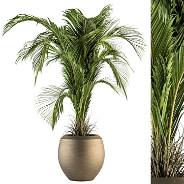 Tropical Bliss: Indoor Plant Set 3D model image 1 