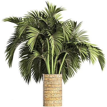 Egyptian Palm: Indoor & Outdoor Plant Collection 3D model image 1 