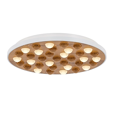 Eco Wood Ceiling Light - Pie 3D model image 1 