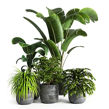 Natural Greenery: Indoor Plant 06 3D model image 1 