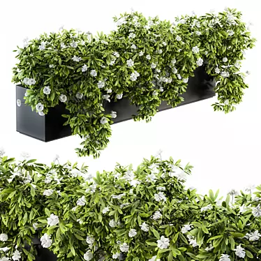 Ivy White Outdoor Plants - Set 149 3D model image 1 