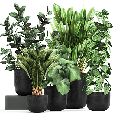 Exotic Plant Collection: Indoor & Outdoor Varieties 3D model image 1 