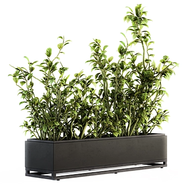 138 Piece Indoor Ficus Plants Set 3D model image 1 