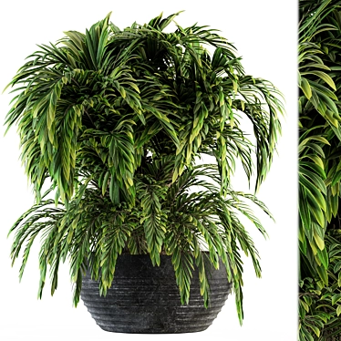 Tropical Oasis Indoor Plant Set 3D model image 1 