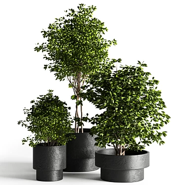 Modern Indoor Plant: 3D Model with 3Dmax & Vray 3D model image 1 