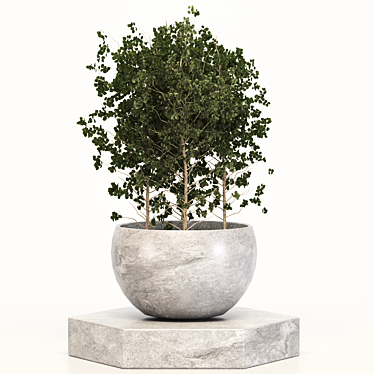 Versatile Plant Collection: Ideal for Indoor and Outdoor Use 3D model image 1 