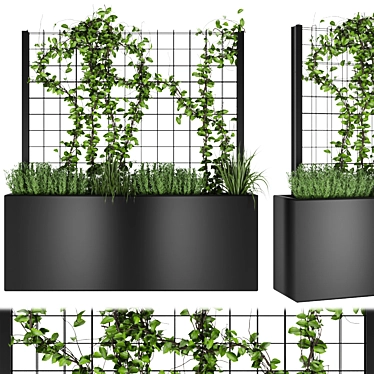 Premium Plant Collection Vol. 36 3D model image 1 