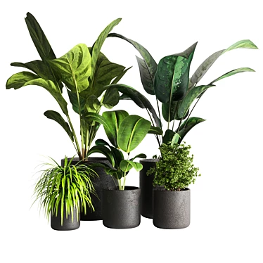 Greenery Delight: Indoor Plant 09 3D model image 1 