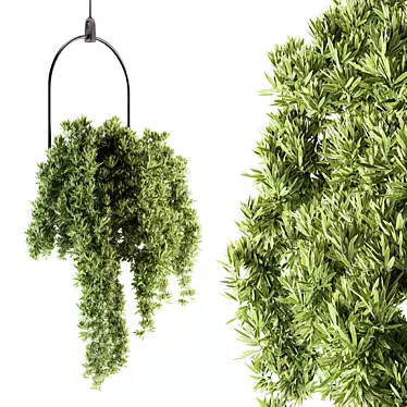 Lush Greenery Hanging Plant Set 3D model image 1 