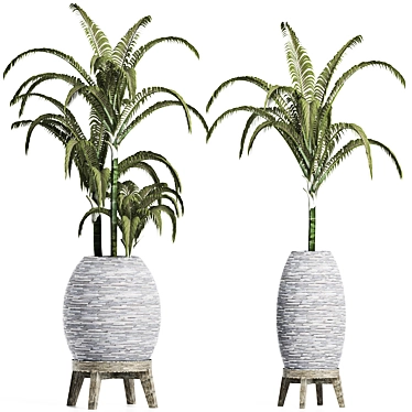 Tropical Palms Collection 3D model image 1 