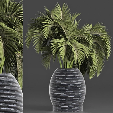 Tropical Oasis Palms Collection 3D model image 1 