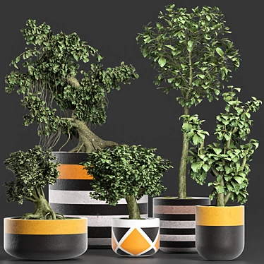 Exotic Mini Bonsai Collection: Sageretia Theezans 3D model image 1 