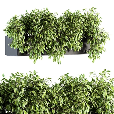 Lush Ivy Indoor Set - 160 3D model image 1 