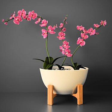 Delicate Orchid Bloom 3D model image 1 