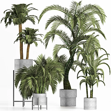 Tropical Palms Collection 3D model image 1 