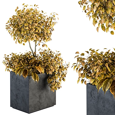 Nature's Haven Outdoor Box 3D model image 1 