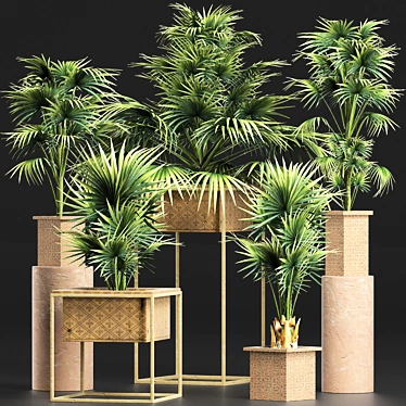 Exotic Palm Tree Collection 3D model image 1 