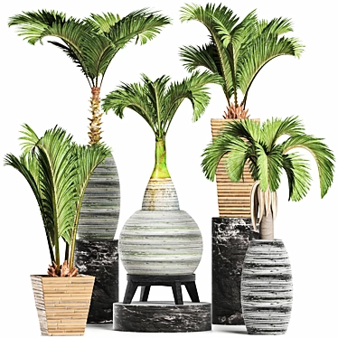 Tropical Palms Plant Collection 3D model image 1 