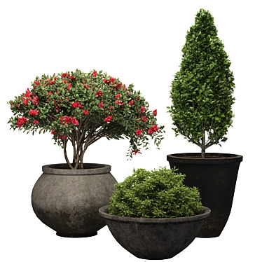 3D Plant Model with Textures 3D model image 1 