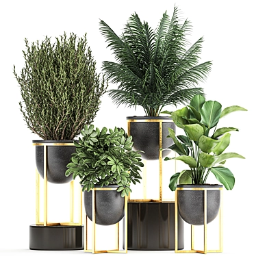 Tropical Plant Collection in Black Pots 3D model image 1 