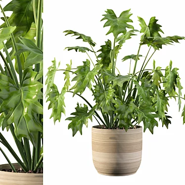 Tropical Paradise: Philodendron Xanadu 3D Plant 3D model image 1 