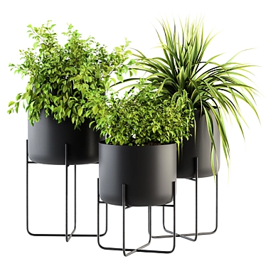 Stylish Black Box Plants Stand 3D model image 1 
