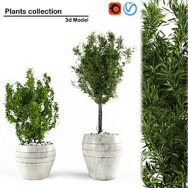 Indoor Oasis: 3D Plant Collection 3D model image 1 