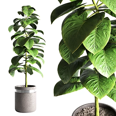 Sleek Indoor Plant Decoration 3D model image 1 