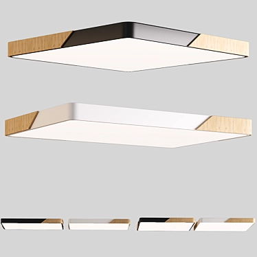 Modern Ceiling Lamp: Black or White, 60 x 60 cm, 67 x 45 cm 3D model image 1 