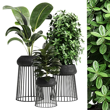 Modern Indoor Plant: 17th Edition 3D model image 1 