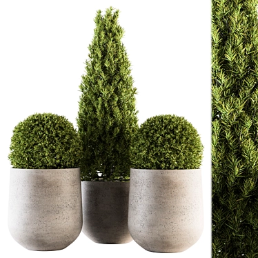 Stylish Outdoor Plants - Set 143 3D model image 1 