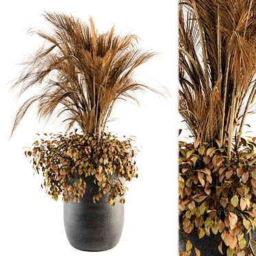 Exotic Indoor Plant Set 162 3D model image 1 