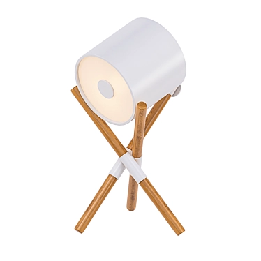 Scandinavian Style Wooden Tripod Lamp 3D model image 1 