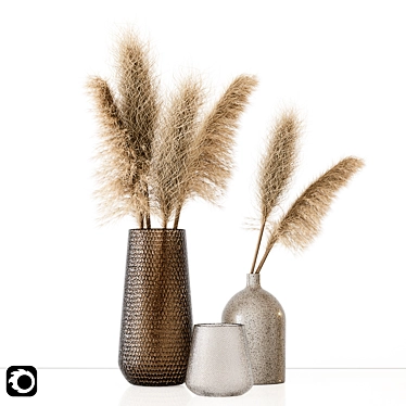 Brown Pampas: 3D Models & Maps 3D model image 1 