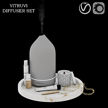 Elegant Vitruvi Diffuser Set 3D model image 1 