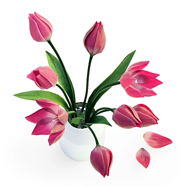 Elegant Tulips in Vase 3D model image 1 