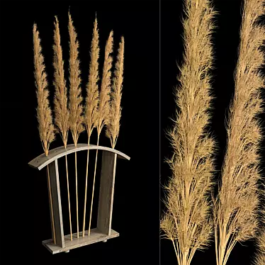 Elegant Pampas Stand: 6 Varieties 3D model image 1 