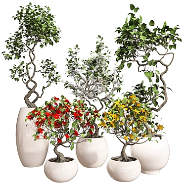 Colorful Bonsai Set for Stylish Interiors 3D model image 1 