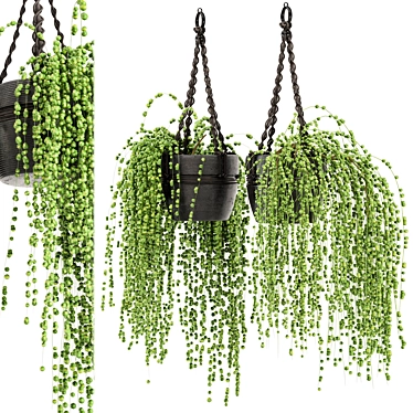 Rustic Hanging Plants Set with Macrame 3D model image 1 