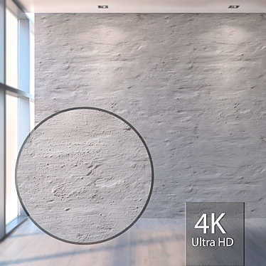 Historic White Plaster Texture 3D model image 1 