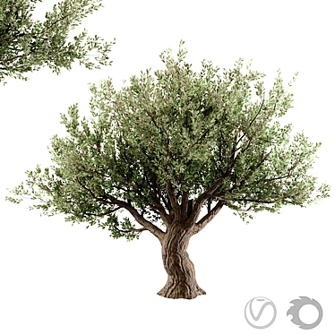 Stunning 3D Tree Model 3D model image 1 