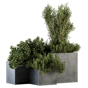 Concrete Box Outdoor Tree Set 3D model image 1 