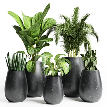 Title: 23 Indoor Plant | High-Quality 3D Model 3D model image 1 